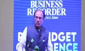 معیشت &rsquo;ڈاکیومینٹیڈ&lsquo; نہ ہونے سے مشکلات درپیش ہیں، وفاقی وزیر خزانہ