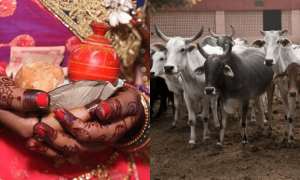 جہیز میں 500 گائیں اور مہنگی گاڑی دیں، خاتون کے لیے 2 دلہے آ گئے