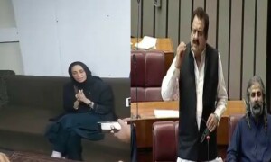 طارق بشیر چیمہ نے زرتاج گل سے معافی مانگ لی