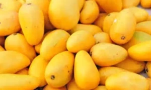 زیادہ آم کھانے کے سائیڈ افیکٹس