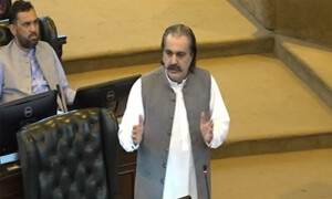 وفاق نے بات نہ سنی تو خیبرپختونخوا میں واپڈا کے دفاتر پر قبضہ کرلیں گے، علی امین گنڈاپور