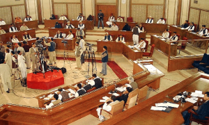 جن اضلاع میں سوئی گیس کی سہولت نہیں وہاں اپل پی جی پلانٹ لگائے جائیں گے،قرارداد منظور