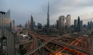 UAE will grant 10-Year Blue Residency to environmental advocates