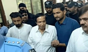 غیرقانونی بھرتی کیس: پرویز الہیٰ کی درخواست ضمانت منظور