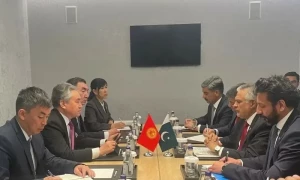 Dar demands accountability of perpetrators of attacks on Pakistani students in Bishkek