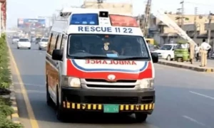 اوباش نوجوانوں نے 55 سالہ بیوہ کو اینٹوں کے وار کرکے قتل کردیا