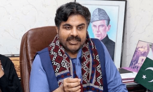 اگر وفاقی حکومت ہماری ہوتی تو300 یونٹ بجلی مفت مہیا کرتے، وزیر توانائی سندھ