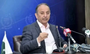ایران سے عراق اور ترکیہ کی طرح بغیر پابندیوں والی گیس خریدنا چاہتے ہیں، مصدق ملک