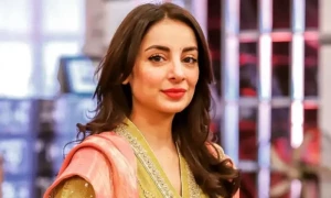 ثروت گیلانی کم کام کرنے کو کیوں ترجیح دیتی ہیں؟