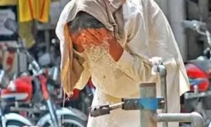 عمر رسیدہ افراد ہیٹ اسٹروک سے کیسے بچ سکتے ہیں