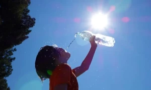 گرمیوں کے دوران پیٹ کو آرام پہنچانے کی آسان تجاویز