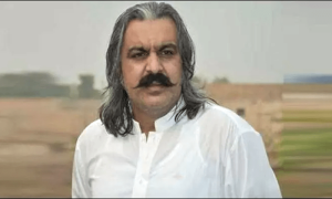 عوام بجلی لوڈ شیڈنگ کے ذمہ داروں پر صبح، دوپہر، شام لعنت بھجیے، امین گنڈا پور