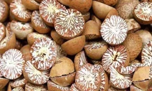 اغوا برائے تاوان کے بعد سی ٹی ڈی عملہ اسمگلنگ میں بھی ملوث نکلا