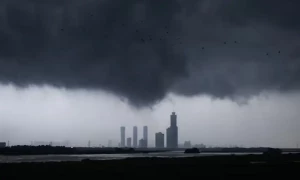 Indian government expects normal monsoon to help ease food prices