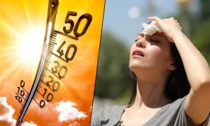 ہیٹ ویو کے کئی فوائد بھی ہیں، ماہرین نے خوش خبری سُنادی
