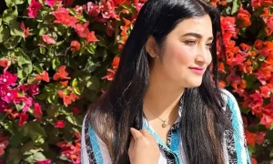بھارتی سوشل میڈیا انفلوئنسر امارات میں کثیرالمنزلہ بلڈنگ سے گر کر ہلاک