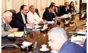 اقتصادی رابطہ کمیٹی کی وزارت داخلہ سمیت مختلف وزارتوں کیلئے گرانٹس کی منظوری