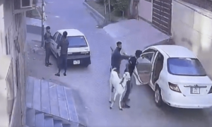 عید الاضحیٰ سے قبل &rsquo;گن پوائنٹ&lsquo; پر بکروں کی چوری، واردات کی فوٹیج وائرل