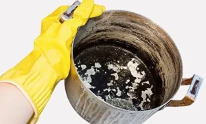 جلے ہوئے برتنوں کو صرف چند منٹ میں صاف کیجئے