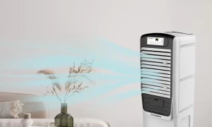 اے سی جیسی ٹھنڈی ہو اکیلئے ائیرکولر کمرے میں کس جگہ رکھنا چاہئیے؟
