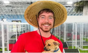 یوٹیوب پر Mr. Beast کے سبسکرائبرز کی تعداد 26 کروڑ 67 لاکھ سے زائد