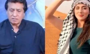 جنت مرزا بطور فلمی اداکارہ کیوں ناکام ہوئیں ، سید نور نے وجہ بتا دی
