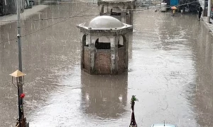 پنجاب میں بادل برس گئے، گرد آلود طوفان سے سولر پلیٹیں اڑ گئیں، درخت اکھڑ گئے