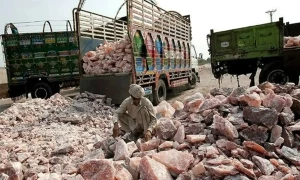 پاکستان سے پنک نمک دوسرے ممالک کو بھیجنے پر کسٹم ڈیوٹی عائد