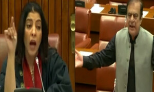 پلوشہ سے گرما گرمی، شبلی فراز نے چئیرمین سینیٹ کو خط لکھ دیا