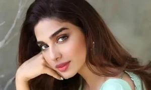 مجھے بالی ووڈ کی آفرز موصول ہوئی تھیں، سونیا حسین کا انکشاف
