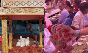 شادی میں درختوں کا استعمال، بارات کا خرچہ ہی آدھا ہو گیا