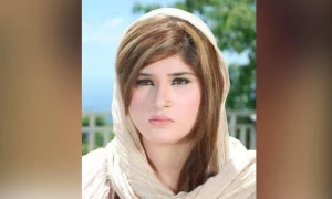Pashto singer killed in KP&rsquo;s Nowshera for &lsquo;working&rsquo; in entertainment industry