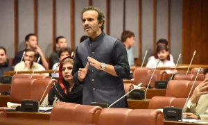 جنوبی پنجاب صوبہ کن علاقوں پر مشتمل ہوگا ؟ آئینی ترمیمی بل سینیٹ میں پیش