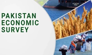 اکنامک سروے 2024: کن شعبوں میں ترقی ہوئی، کہاں تنزلی