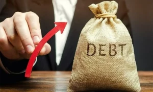 اقتصادی سروے: عوامی قرضے جی ڈی پی کے 75 فیصد تک جا پہنچے