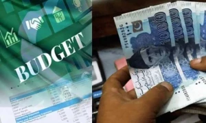 بجٹ میں تنخواہ دار نشانے پر: &rsquo;اب صرف 2 آپشنز ہیں، سیلری کیش میں لیں یا ملک چھوڑ دیں&lsquo;