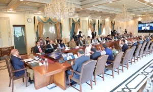 PM Shehbaz reduces electricity tariff for industries by Rs10.69 per unit