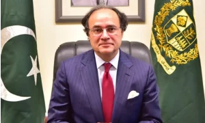 Finance Minister Aurangzeb removed from ECNEC