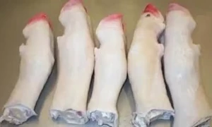 عید قرباں پر پایوں کو کیسے صاف کیا جائے