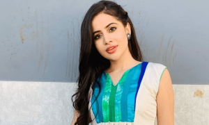 عرفی شادی کے لیے کس کی &rsquo;ہاں&lsquo; کا انتظار کر رہی ہیں؟