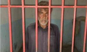 سانگھڑ کے بعد حیدرآباد میں بھی بے زبان پر ظلم، گدھے کی ٹانگ کاٹنے والا ملزم گرفتار