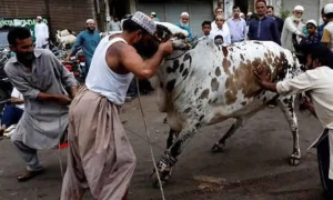 ملک میں عیدالاضحیٰ مذہبی جوش و جذبے سے منائی گئی، سنت ابراہیمیؑ کی پیروی میں جانور قربان کیے گئے