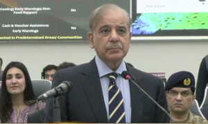 2022 کے سیلاب سے پاکستان کو 30 ارب ڈالر کا نقصان ہوا، وزیراعظم
