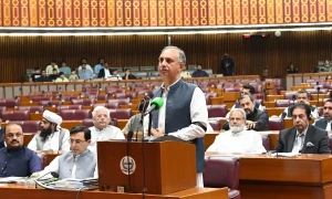 عوام اور پاکستان کے مستقبل کیخلاف بجٹ اکنامک ہِٹ مین نے بنایا، عمر ایوب
