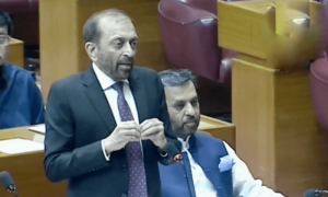 عوام پر حد سے زیادہ ٹیکس نہ لگائیں، بجٹ پر حکومتی اتحادی بھی پھٹ پڑے