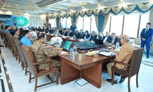ایپکس کمیٹی اجلاس: وزیر اعظم نے &rsquo;آپریشن عزم استحکام&lsquo; کی منظوری دے دی