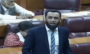 طالبان کو لانیوالے آپریشن عزم استحکام کے مخالفت ہیں، گڈ اور بیڈ کی بحث کون لایا، عطاتارڑ