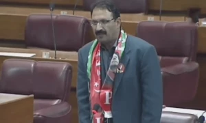 سنی اتحاد کونسل کے جنید اکبر کے قومی اسمبلی میں تقریر کے دوران نامناسب الفاظ