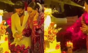 سوناکشی سنہا اور ظہیر اقبال نے شادی کا کیک کاٹا