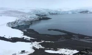 Antarctic faces melting &lsquo;tipping point&rsquo; as oceans warm: study